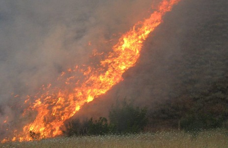 Armenians commit arson in occupied mountains